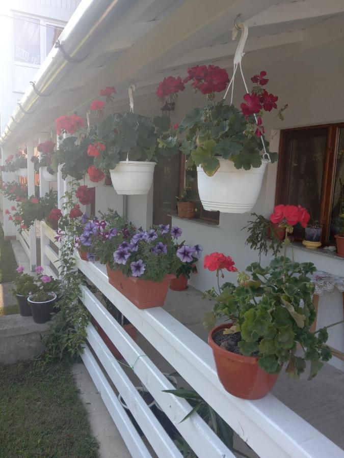 Cazare Turism Prislop Hotel Hateg Bagian luar foto